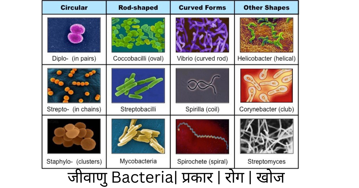 जीवाणुBacteria प्रकार रोग खोज