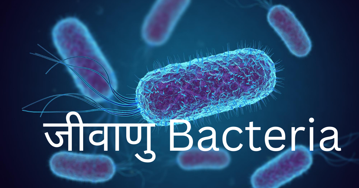 जीवाणु Bacteria