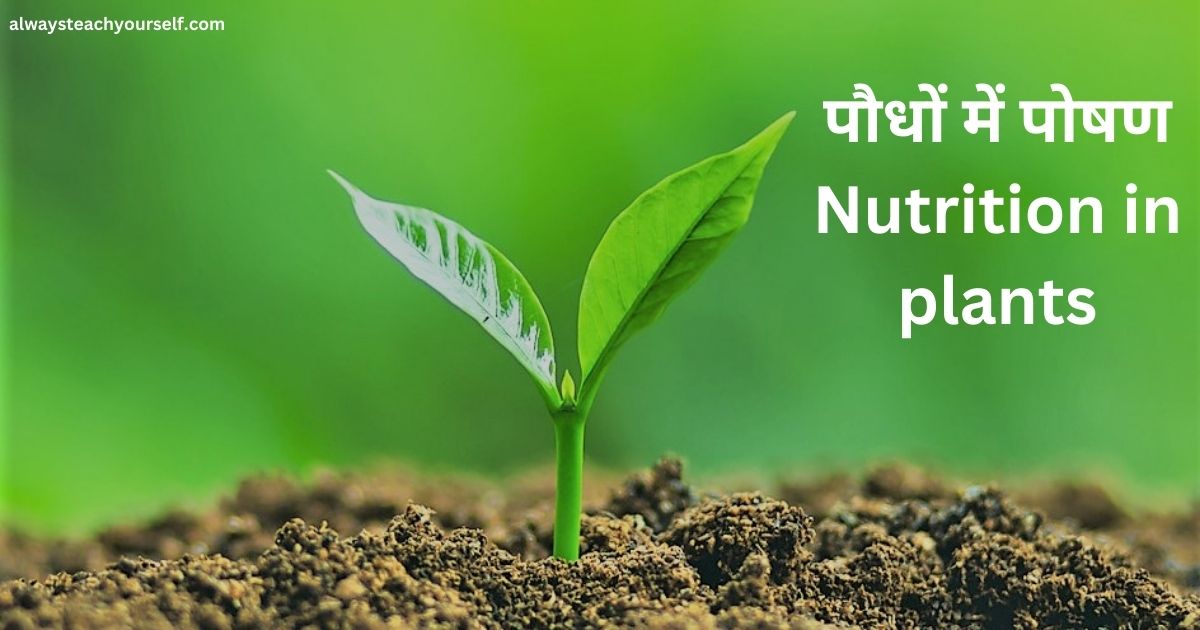 पौधों में पोषण Nutrition in plants